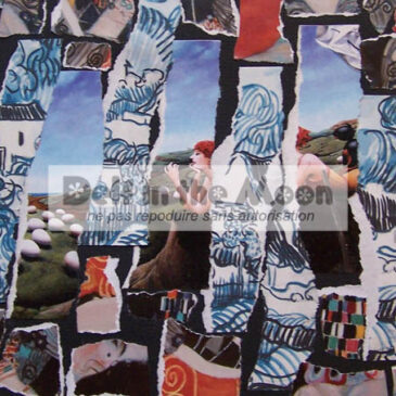 Collage 1