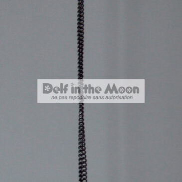 Collier D.